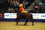 Quadrille - 00063